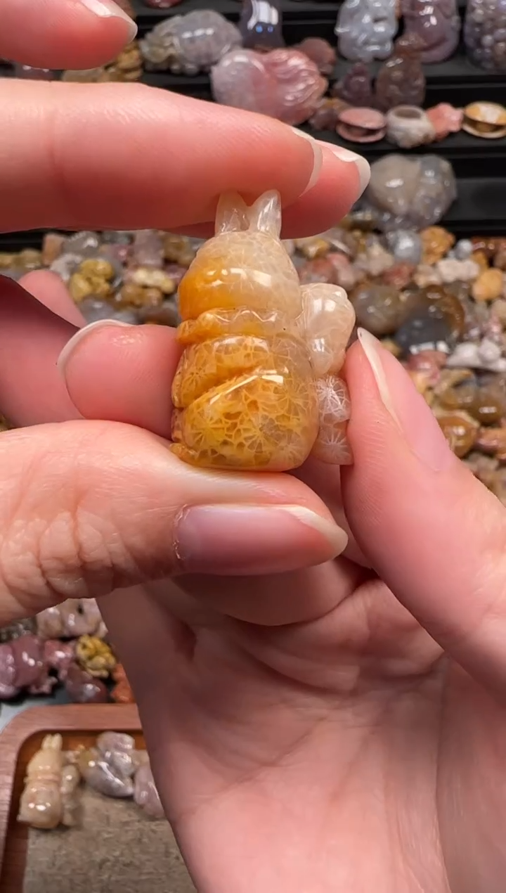 颈饰未镶嵌硅化珊瑚（珊瑚玉）912