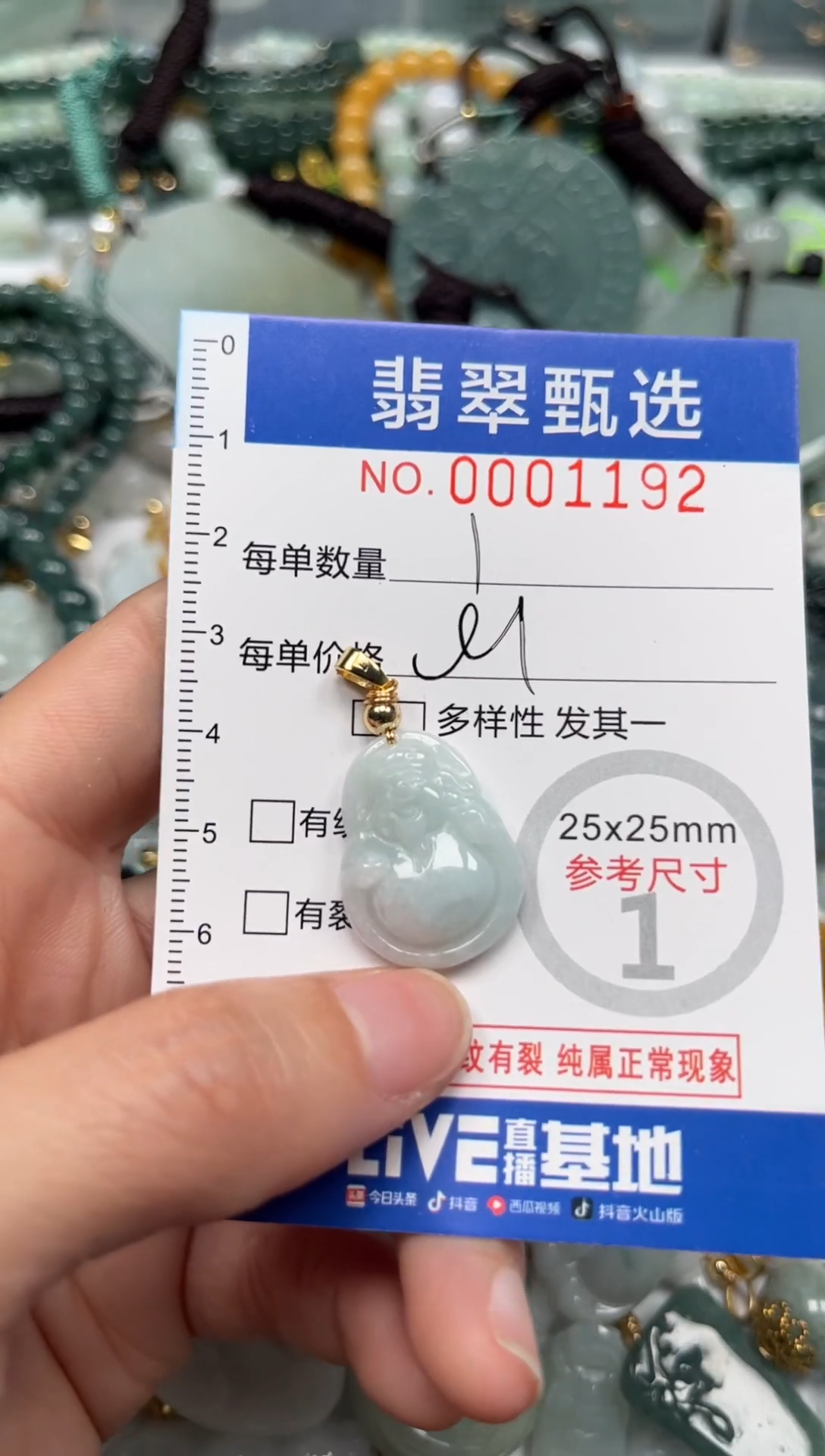 【闪购商品】翡翠颈饰未镶嵌00..1192