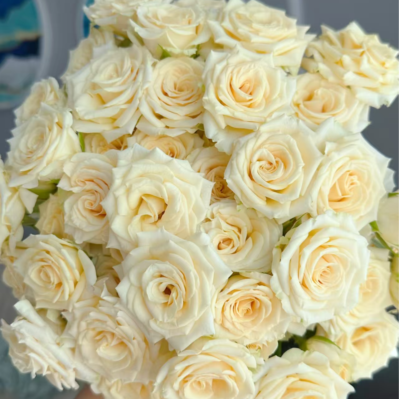 【萃妮缇】1单顺丰冷链包邮2单送配草3单送配花4单送10支玫瑰