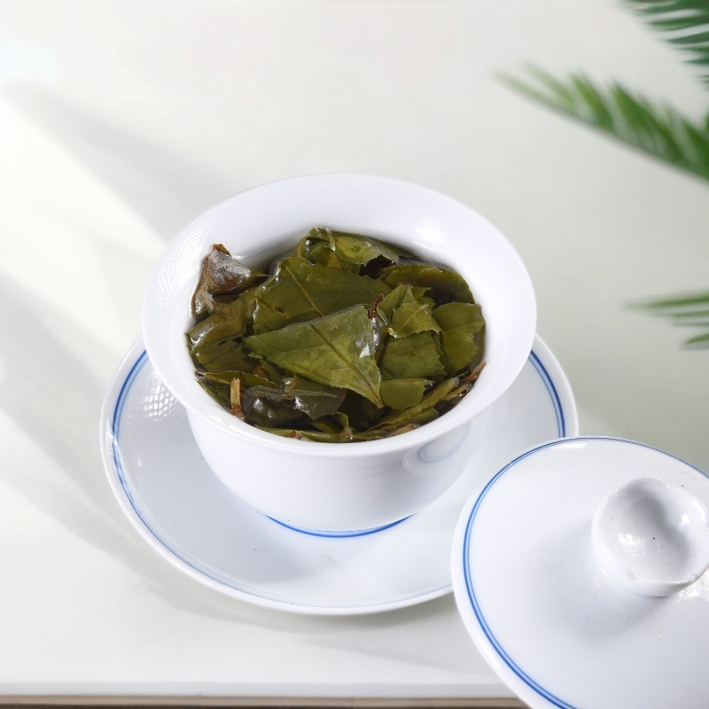 【日晒鸡屎香】政和高山白茶2023年高山区日晒贡眉