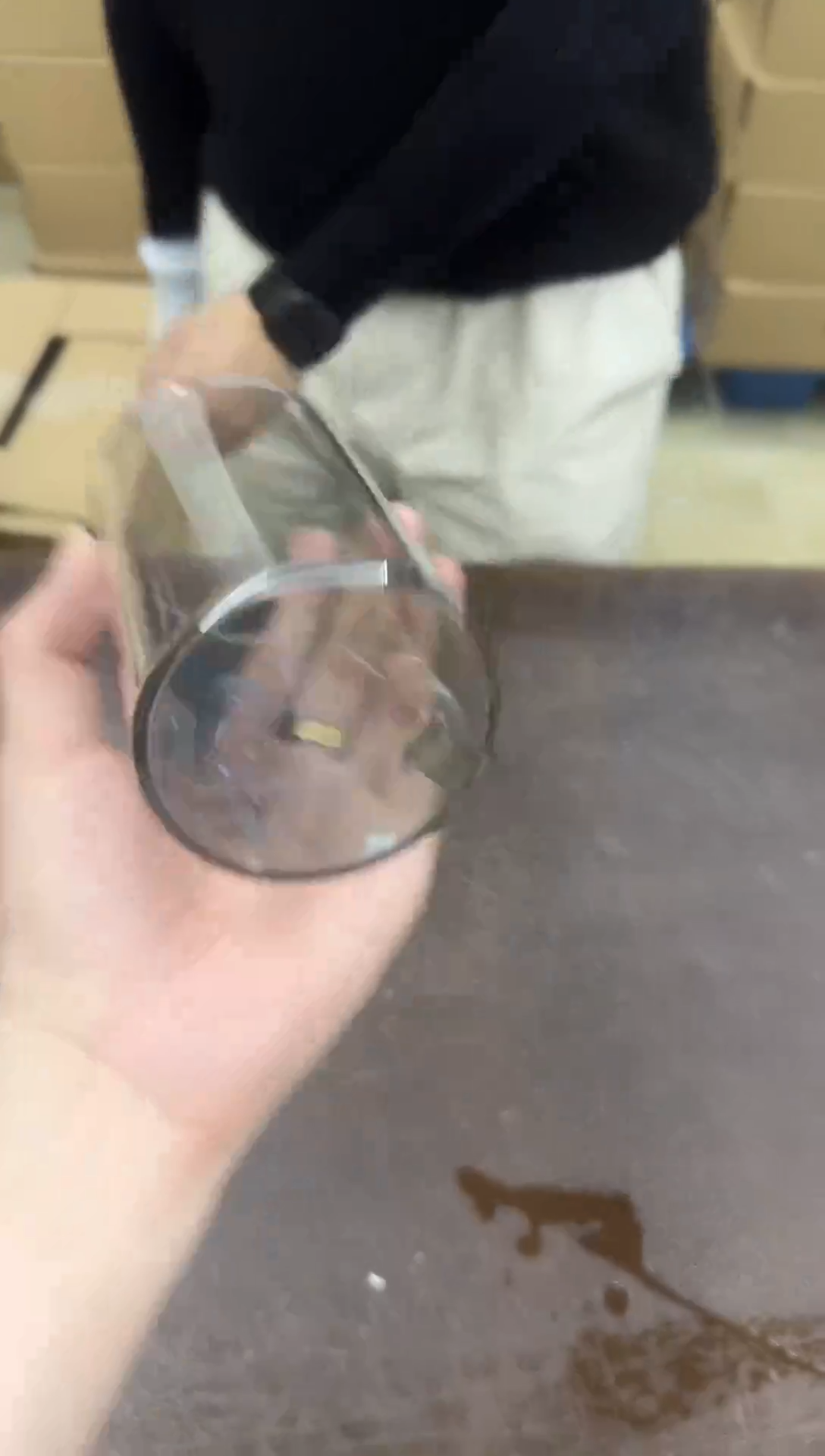 瓷片小强茶具套装