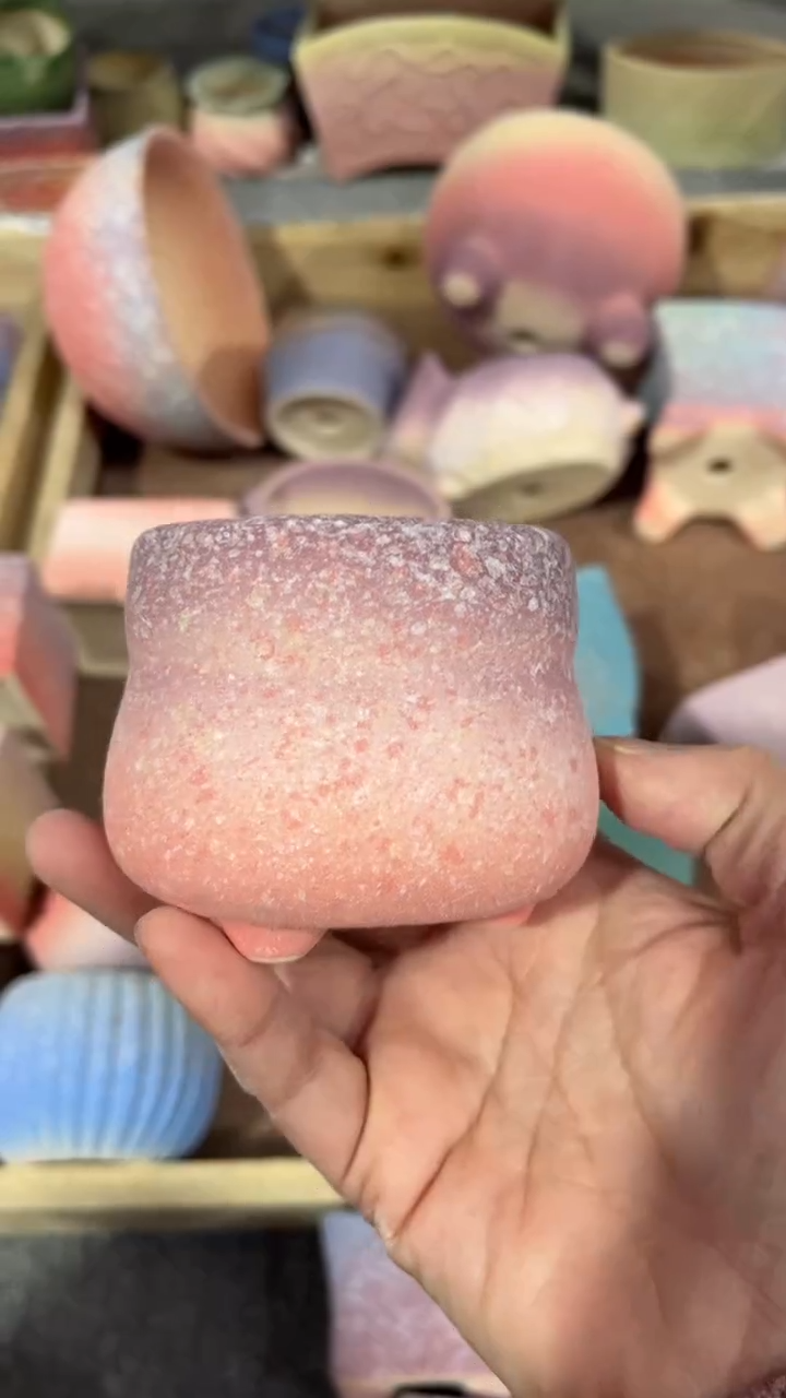 【闪购商品】红陶6*6