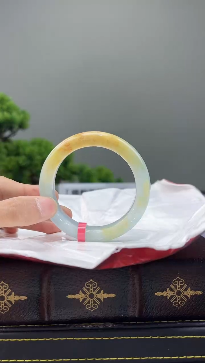 【闪购商品】翡翠手镯未镶嵌5手镯