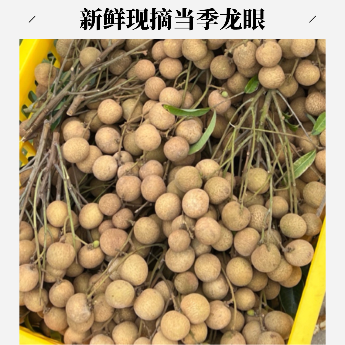 广东储良龙眼新鲜现摘当季清甜多汁水果