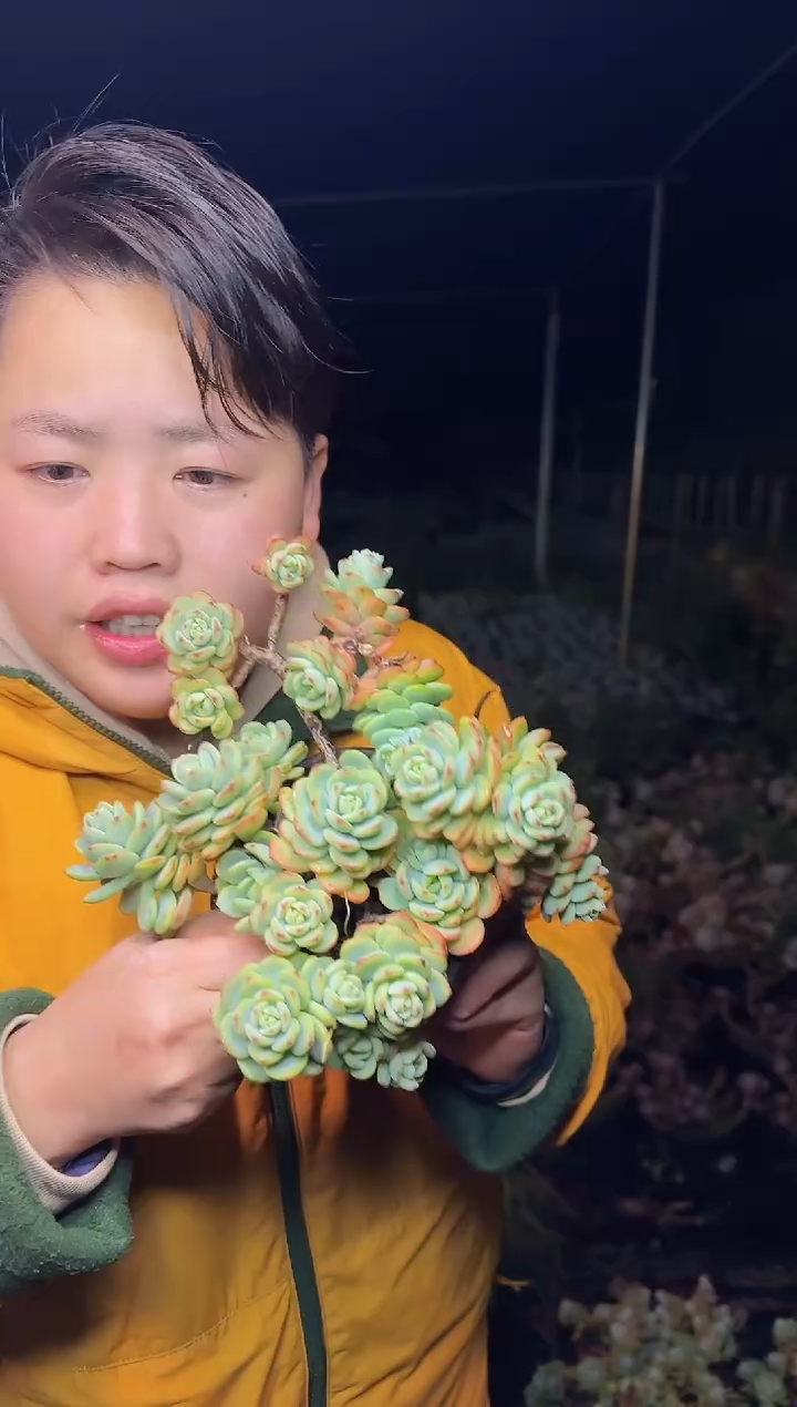 房子后面傲霜群2.99