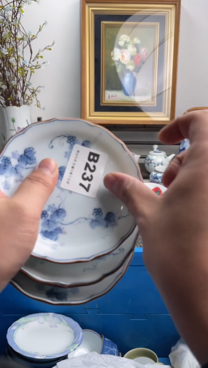 瓷片焦**梨237-B-          