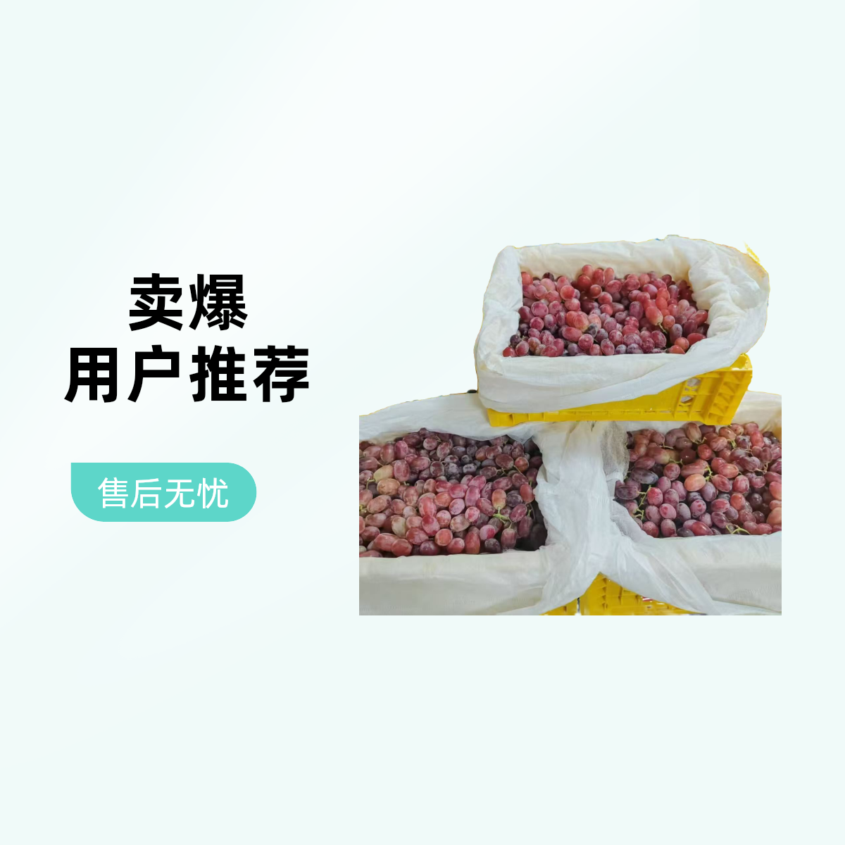 国产无籽小红提4斤装（约4斤）云南省