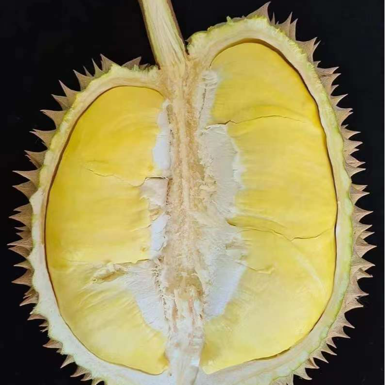 【现开果肉】昆明同城小时达 保干苞软糯 核小金枕鲜榴莲1斤起 榴莲同城送金枕泰国