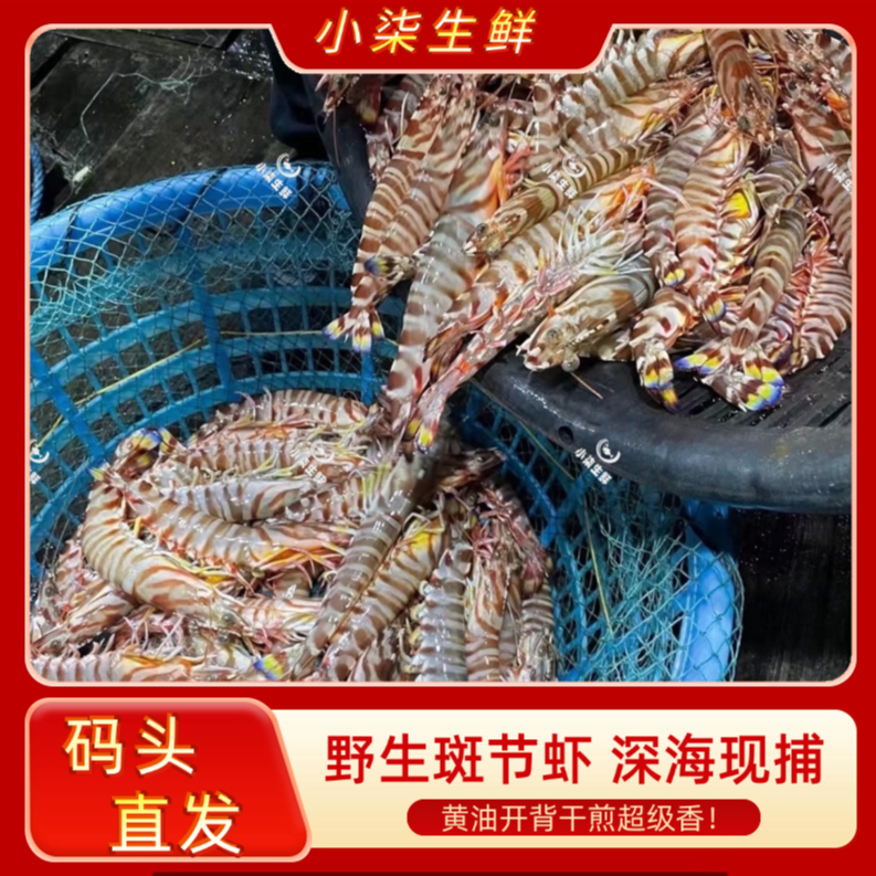 【元旦鲜礼】本港码头野生斑节虾 竹节虾深海现捕8-10条/盒 XF