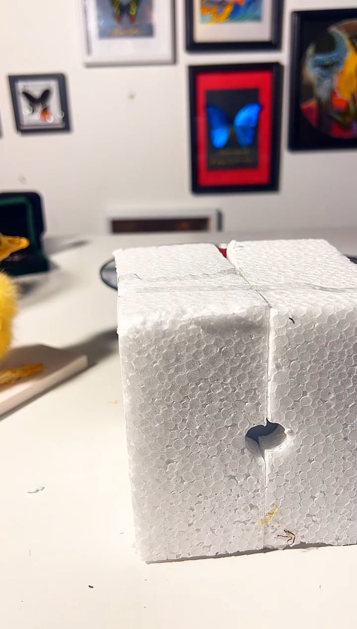 有机玻璃蜂王盲盒