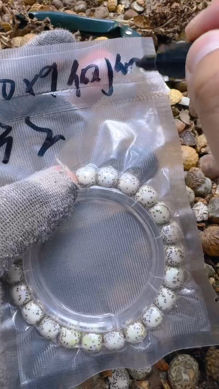 【闪购商品】星月菩提吊坠青稞手作文玩32