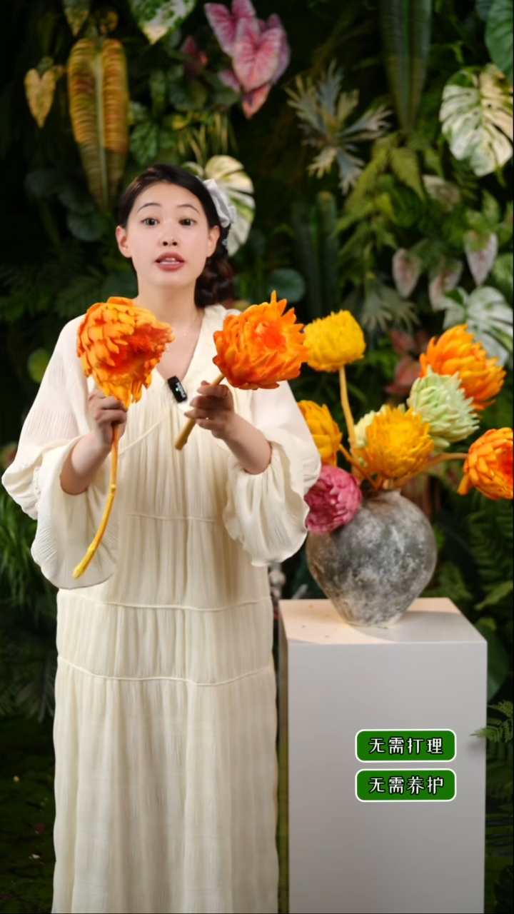 永生花洋蓟2枝发货不低于10cm不售后