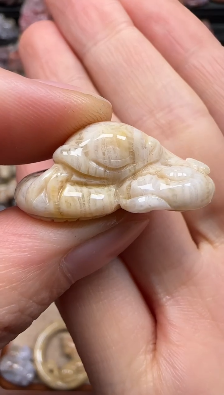 【闪购商品】硅化珊瑚（珊瑚玉）颈饰未镶嵌773