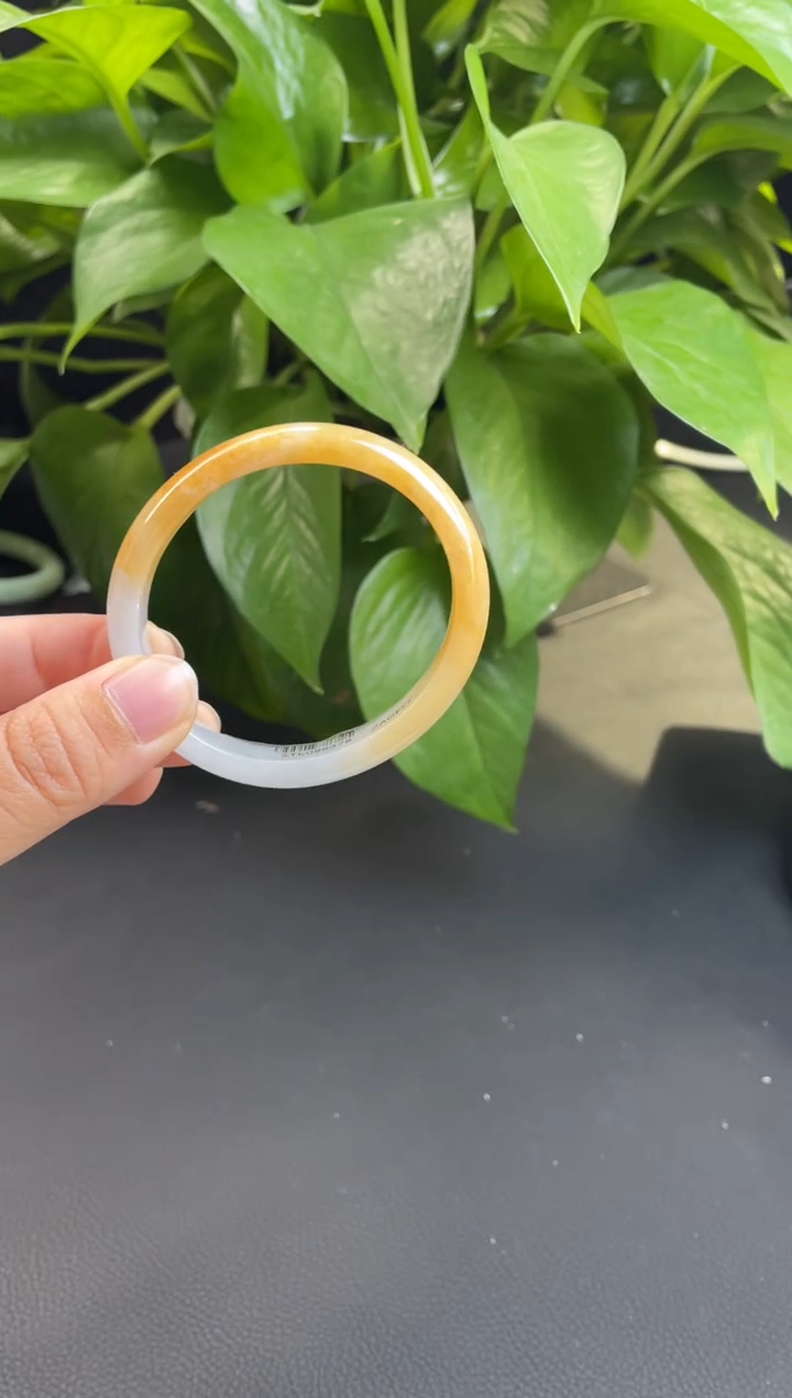 未镶嵌翡翠定制翡翠17#天然缅甸A货翡翠手镯49-50正圈圈口（贵妃）