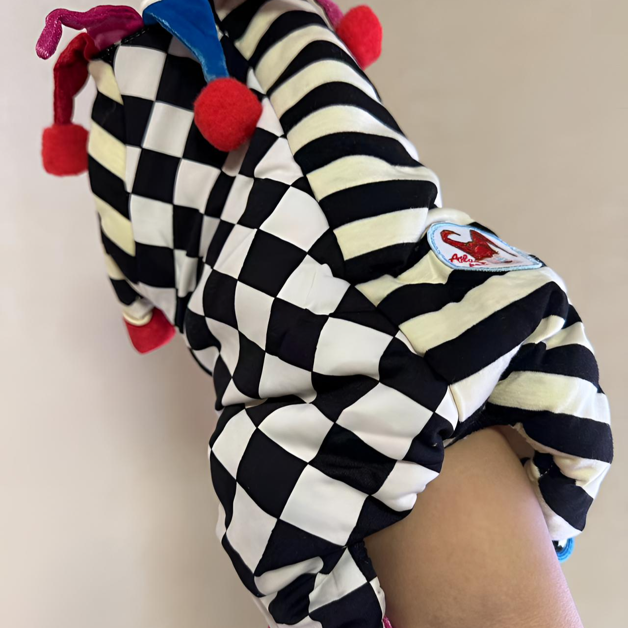 宠物衣服直播间专拍700-800