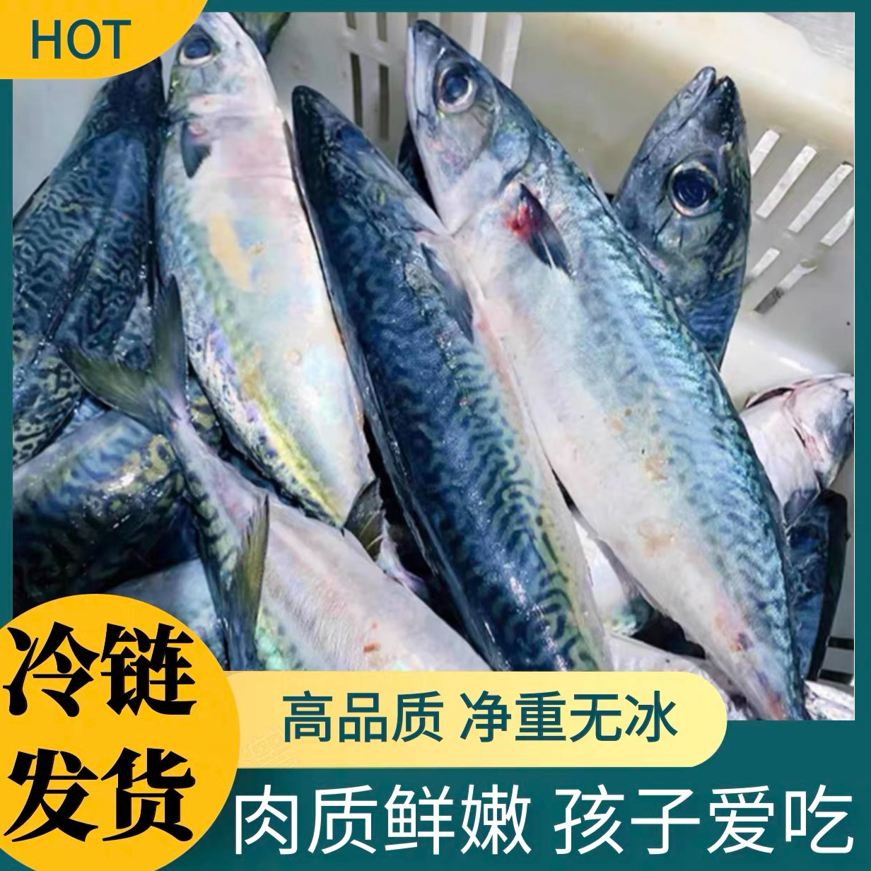 东山岛深海青花鱼鲐鲅鱼鲜嫩刺少海鲜速冻发货5-6斤