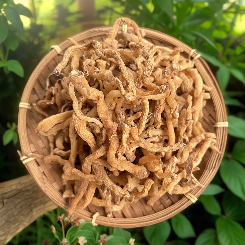 山玉竹【山里好山货】精选好货