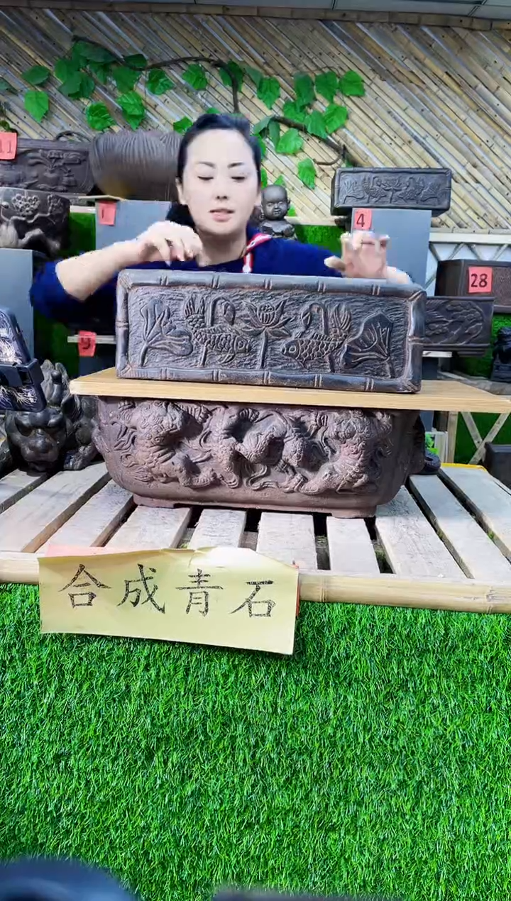 【闪购商品】复合盆sf-2012