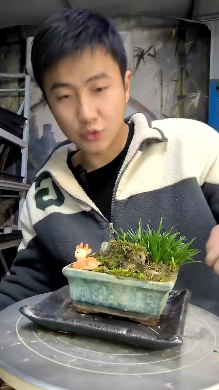 绿**道中青园艺一物一拍花297
