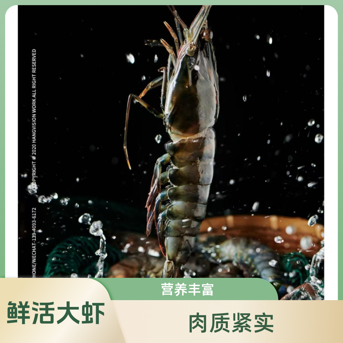 【活海白虾3斤】送货上门