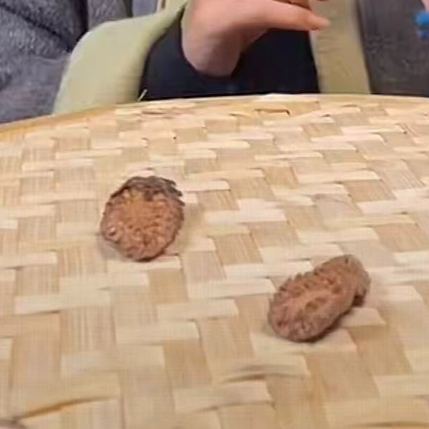 云南优选山货--飞天擒萝