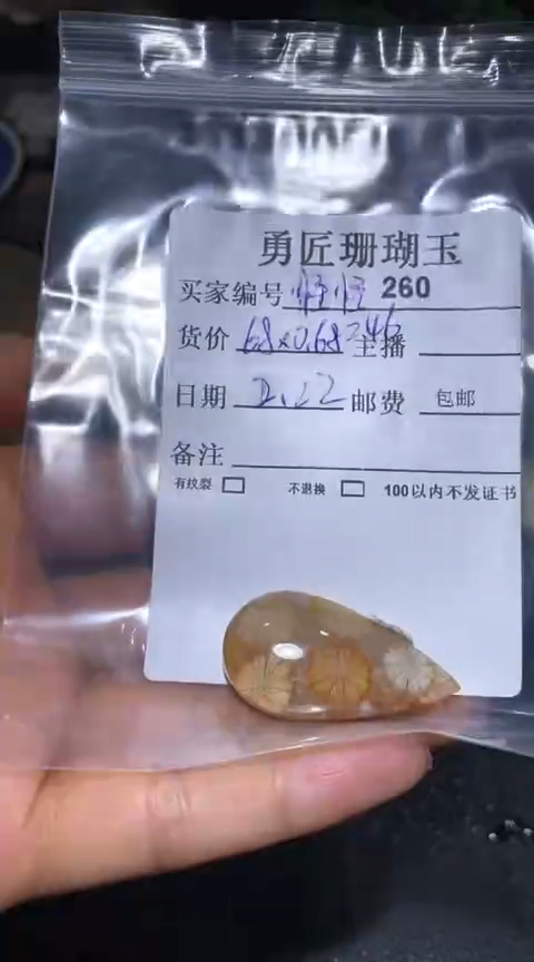 【闪购商品】硅化玉吊坠(不含链)未镶嵌260