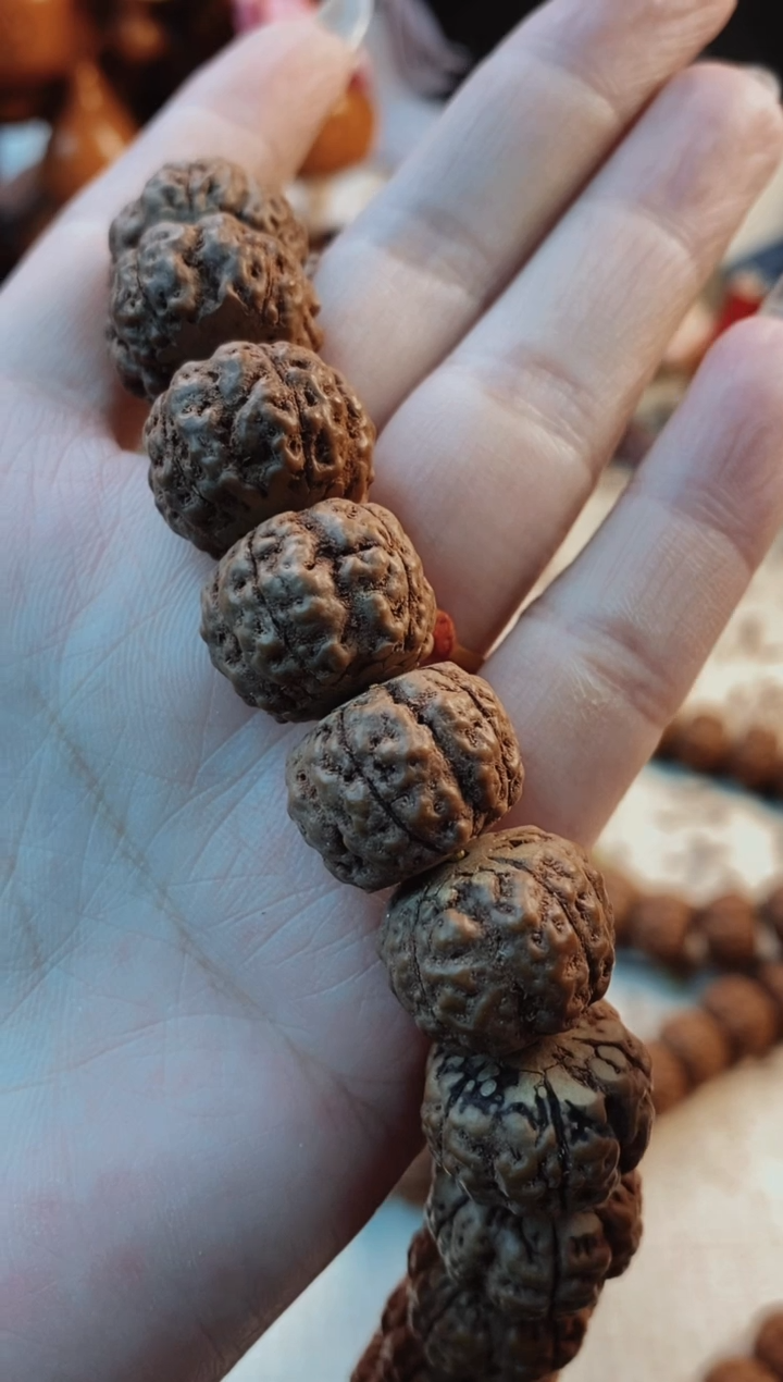 【闪购商品】金刚菩提手串藏切饕餮长串18mm