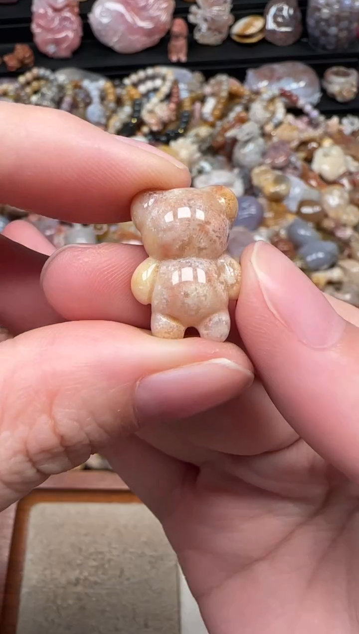 颈饰未镶嵌硅化珊瑚（珊瑚玉）580