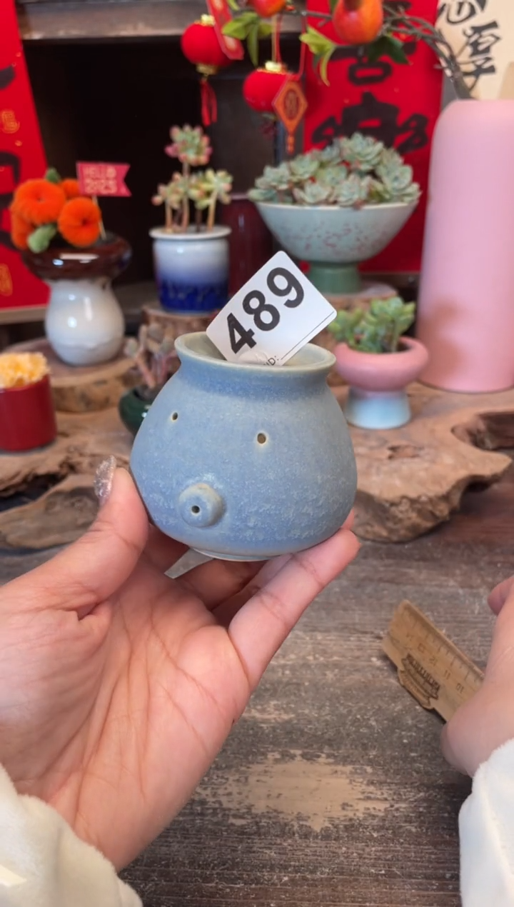 【闪购商品】摆件489知木小芳花盆