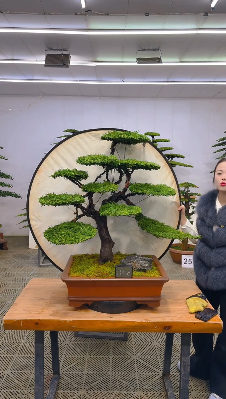 无花朵一物一拍一物一拍