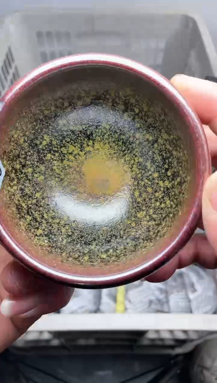 【闪购商品】茶盏高端茶器主人杯336