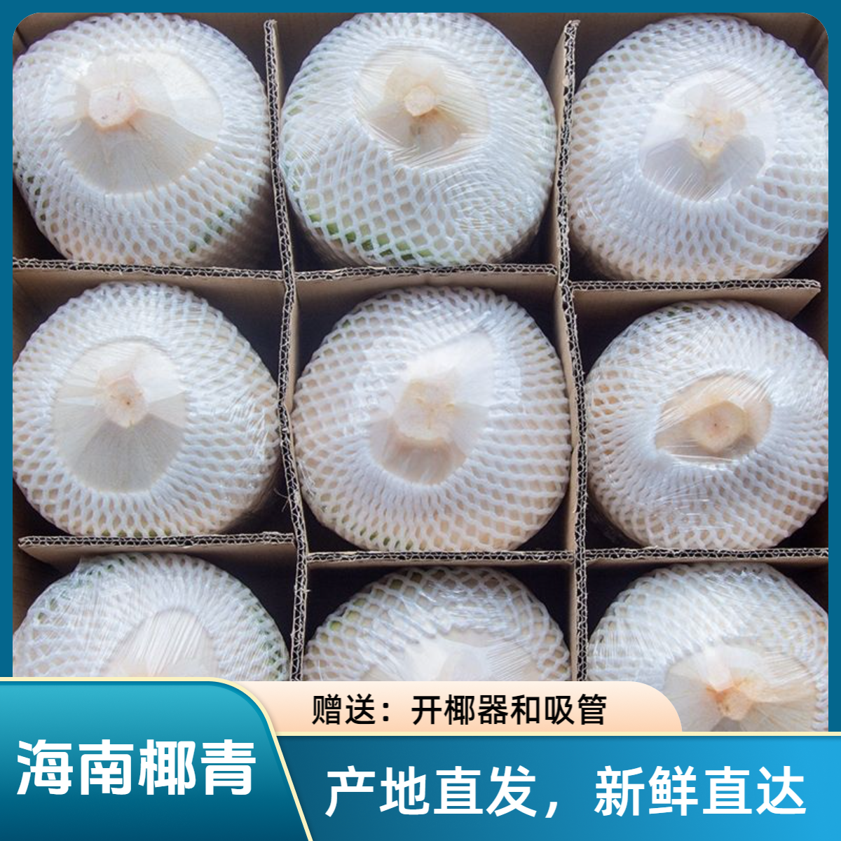 海南新鲜椰青精选大果 微酸清甜解渴适合孕妇（冷藏排酸）赠开口器