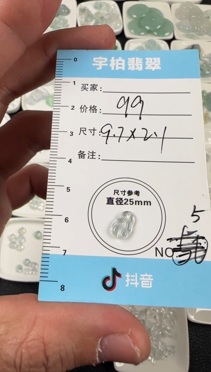 未镶嵌定制翡翠天然A货翡翠+叶子05