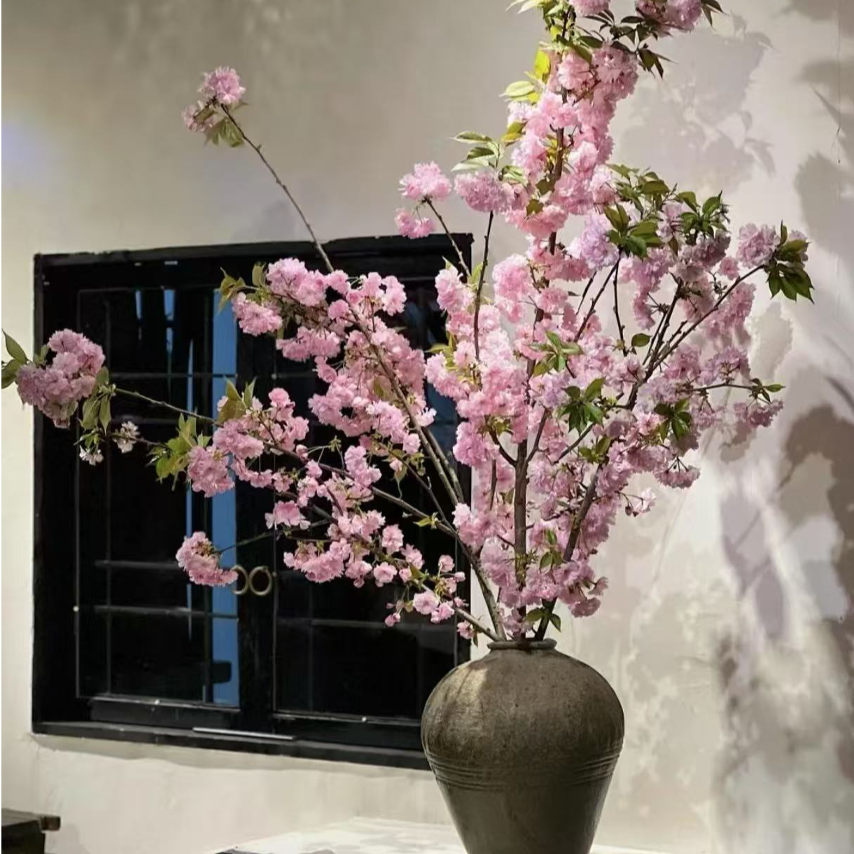 【春日鲜枝】AAA级多头樱花期持久水培室内好养易活森系植物