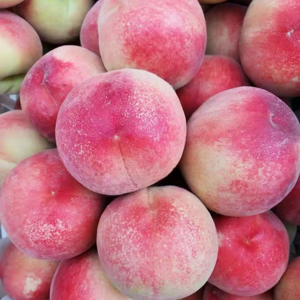 【达吾水果】红梅突围毛水蜜桃