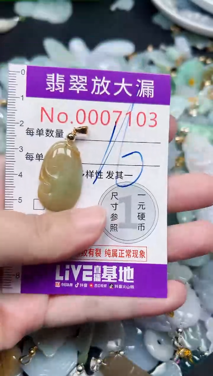 颈饰未镶嵌翡翠7103