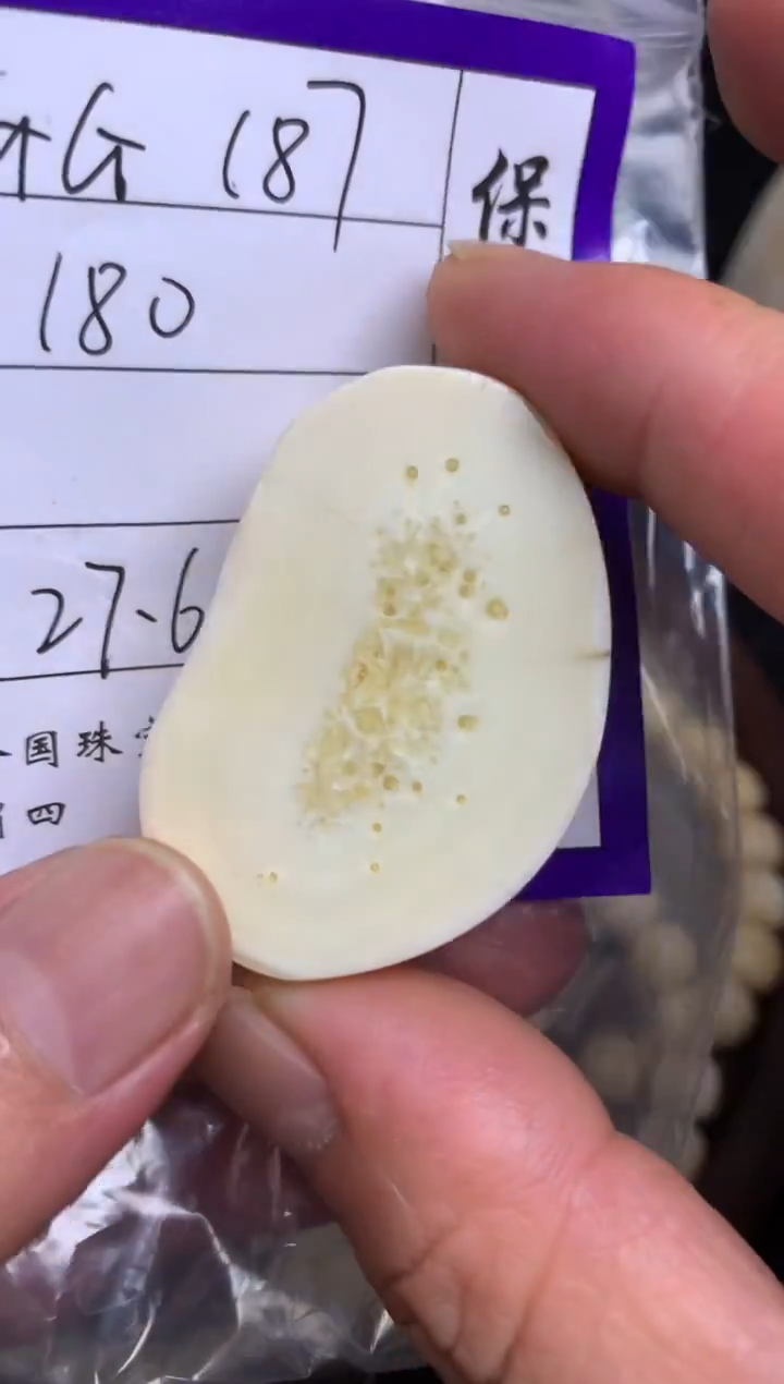 【闪购商品】橄榄核手串/手链猛犸猛犸猛犸猛犸D121