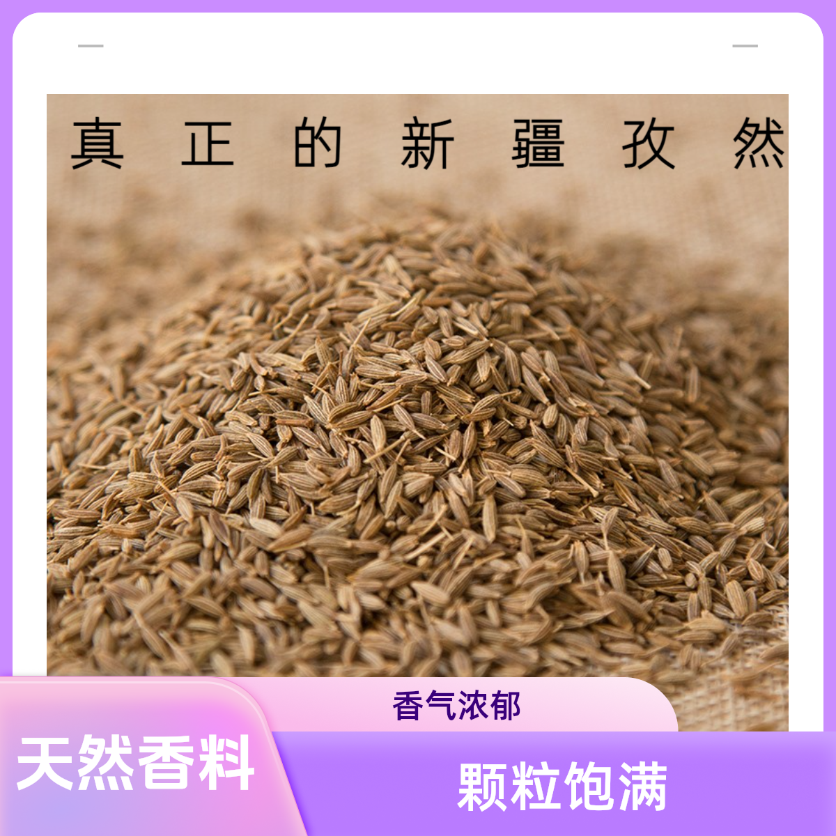 正宗新疆孜然颗粒饱满可打粉