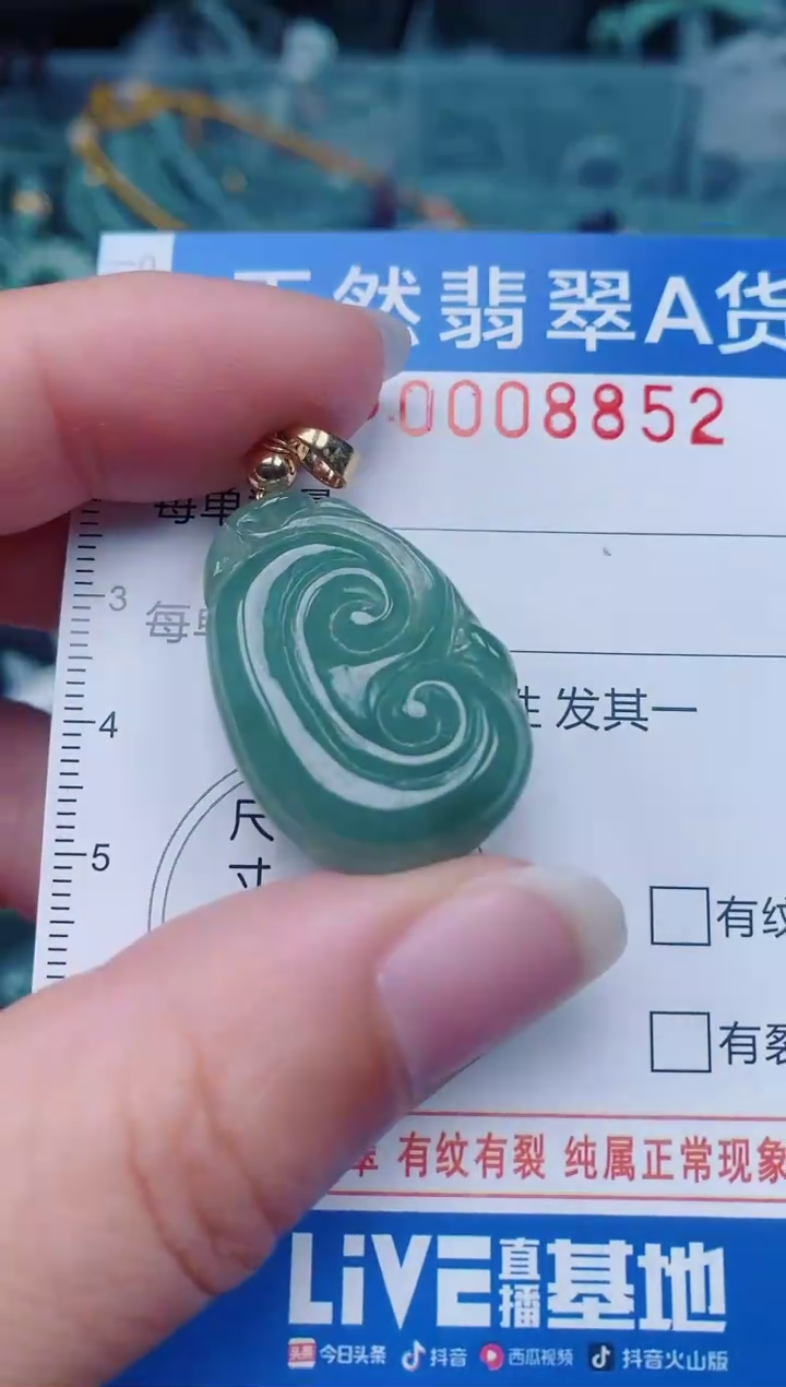 颈饰未镶嵌翡翠00008852