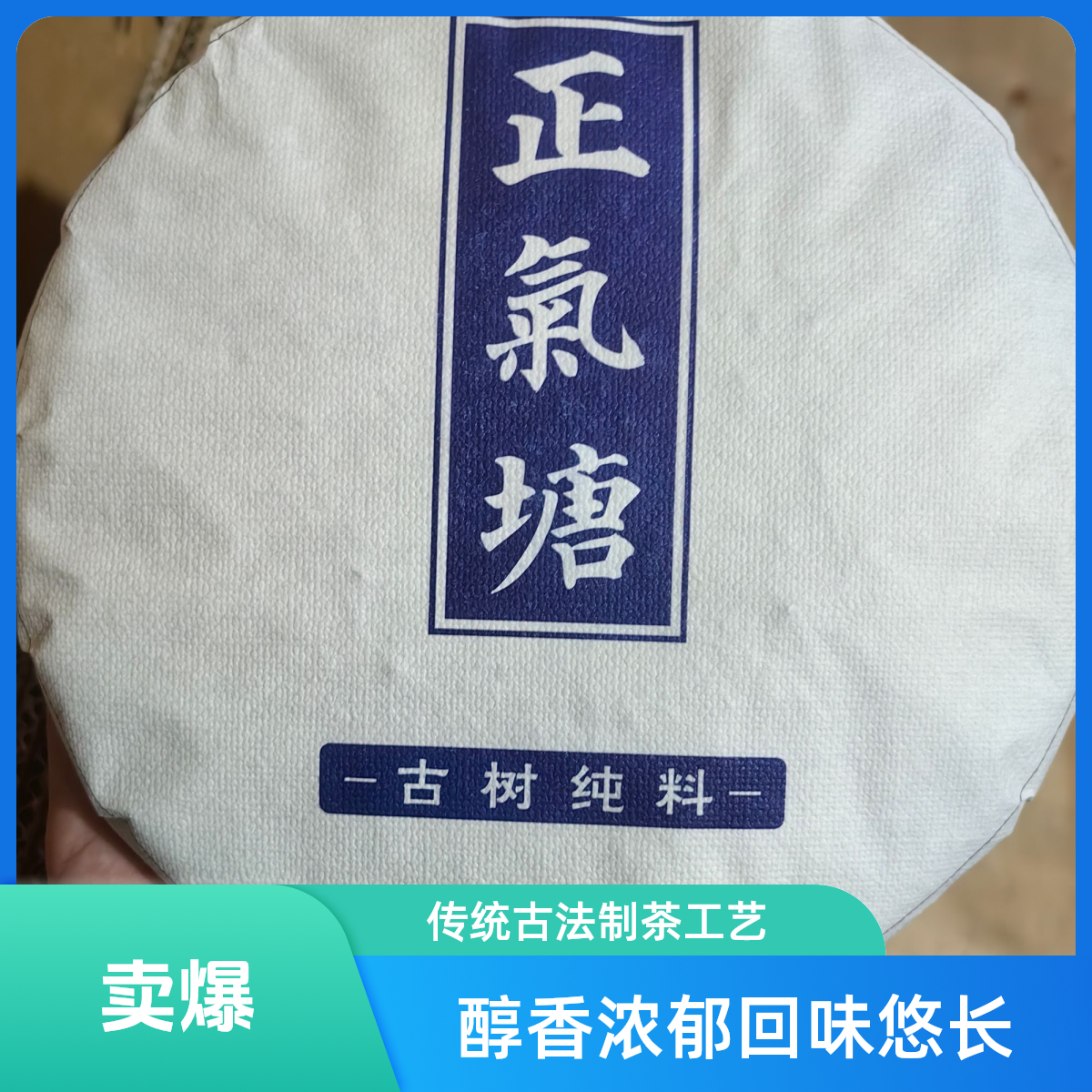  正气塘的茶香密码，等你解锁