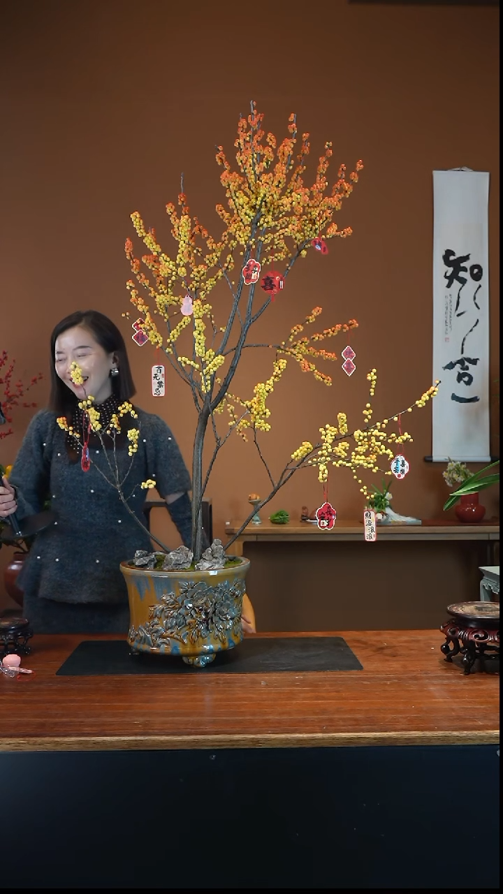 全部花朵梦幻奇迹盆景盆景盆景