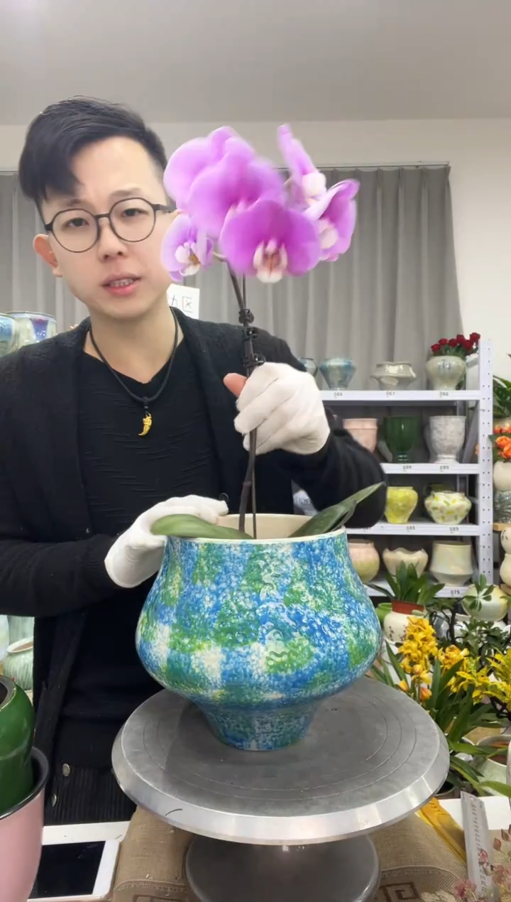 12.25陶瓷花盆直播链接高. 19     口15