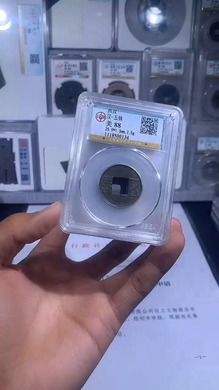 铜琪珍   西汉五铢一枚