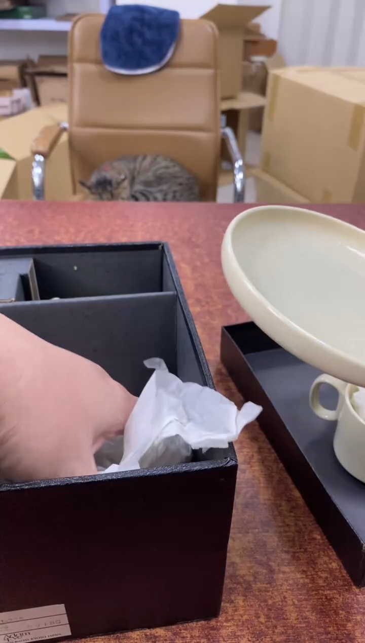 瓷片781小林轩欢迎您