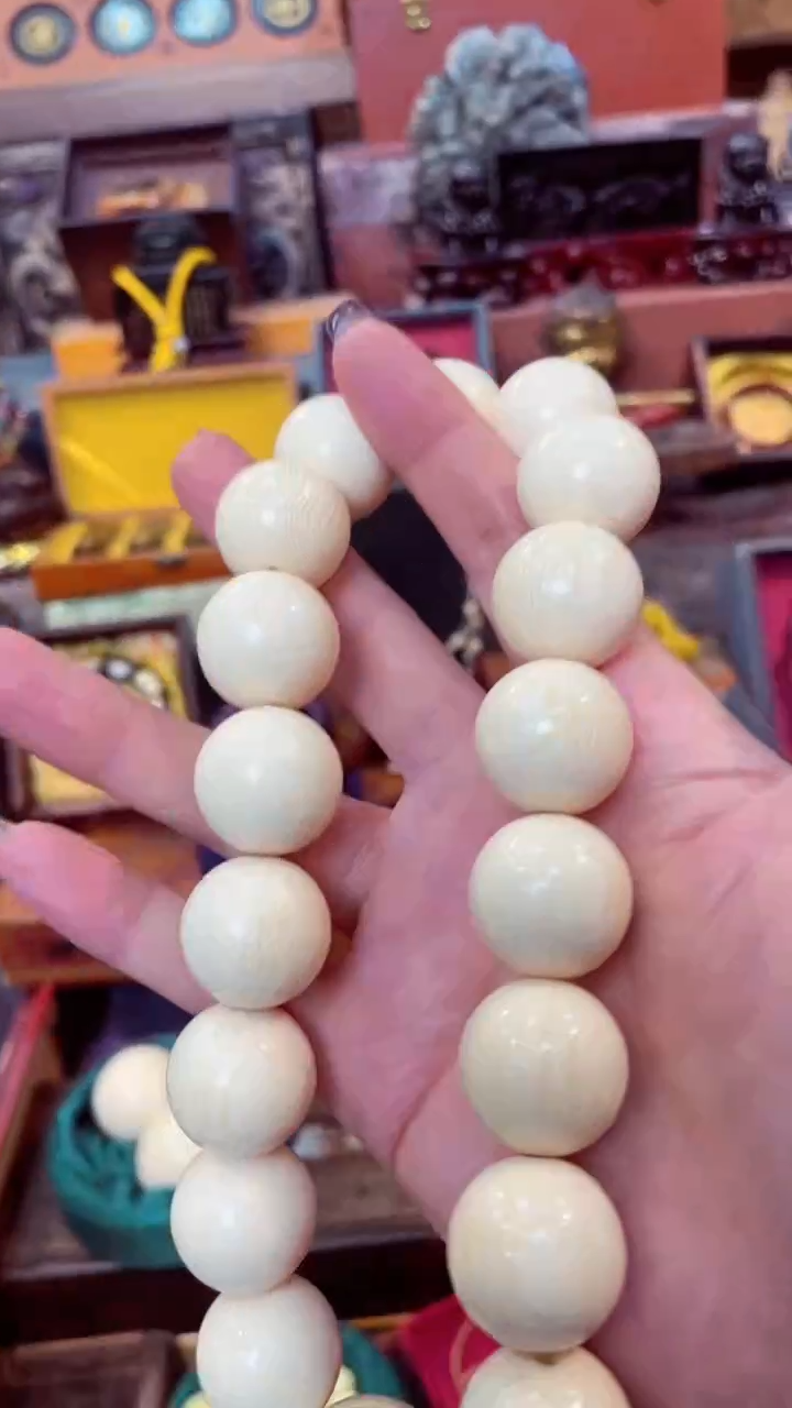 【闪购商品】2.2大手持           