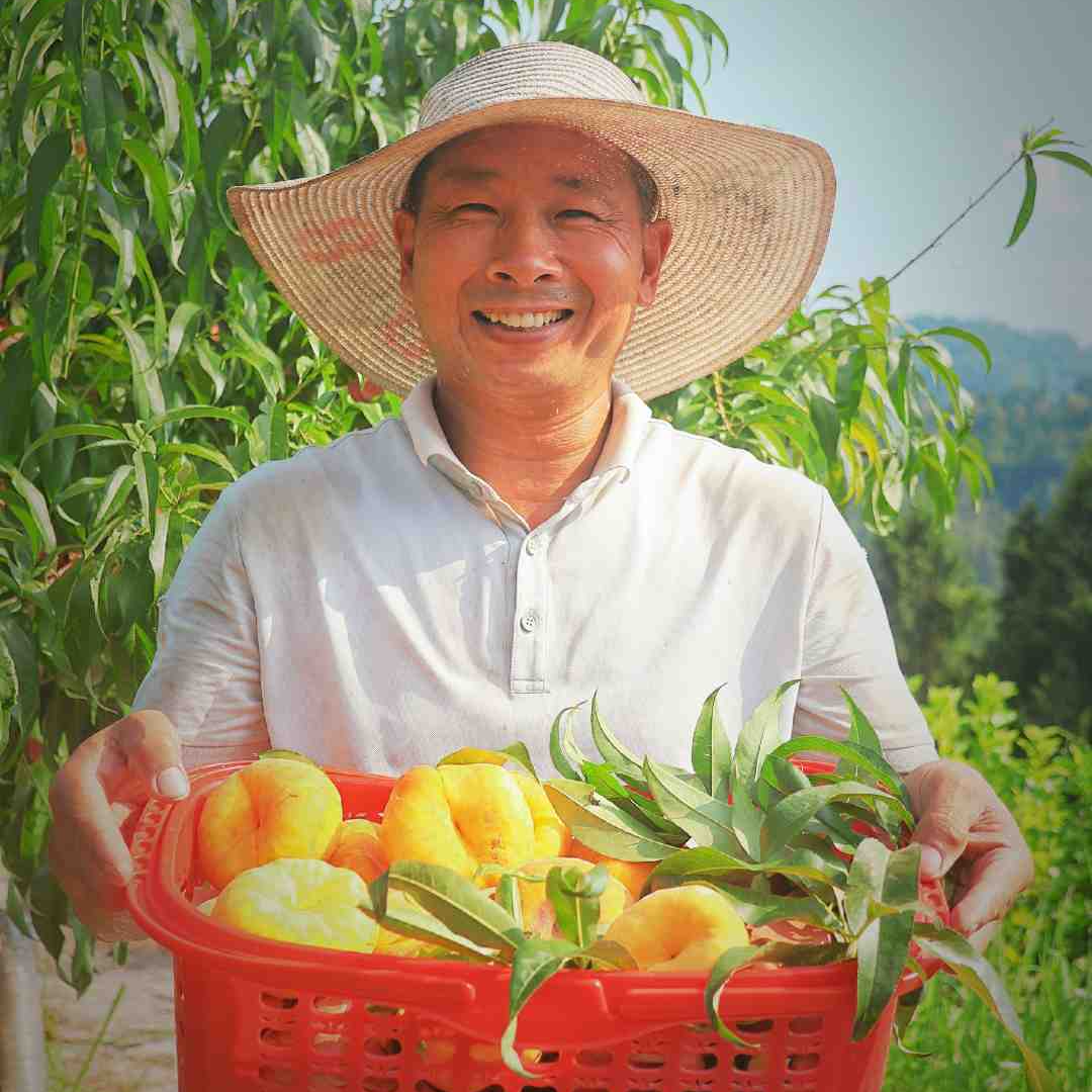 达州碑庙陡坑村黄金蟠桃