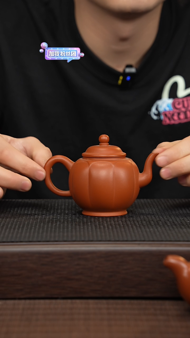 【闪购商品】紫砂茶壶源头精品手工作品3912