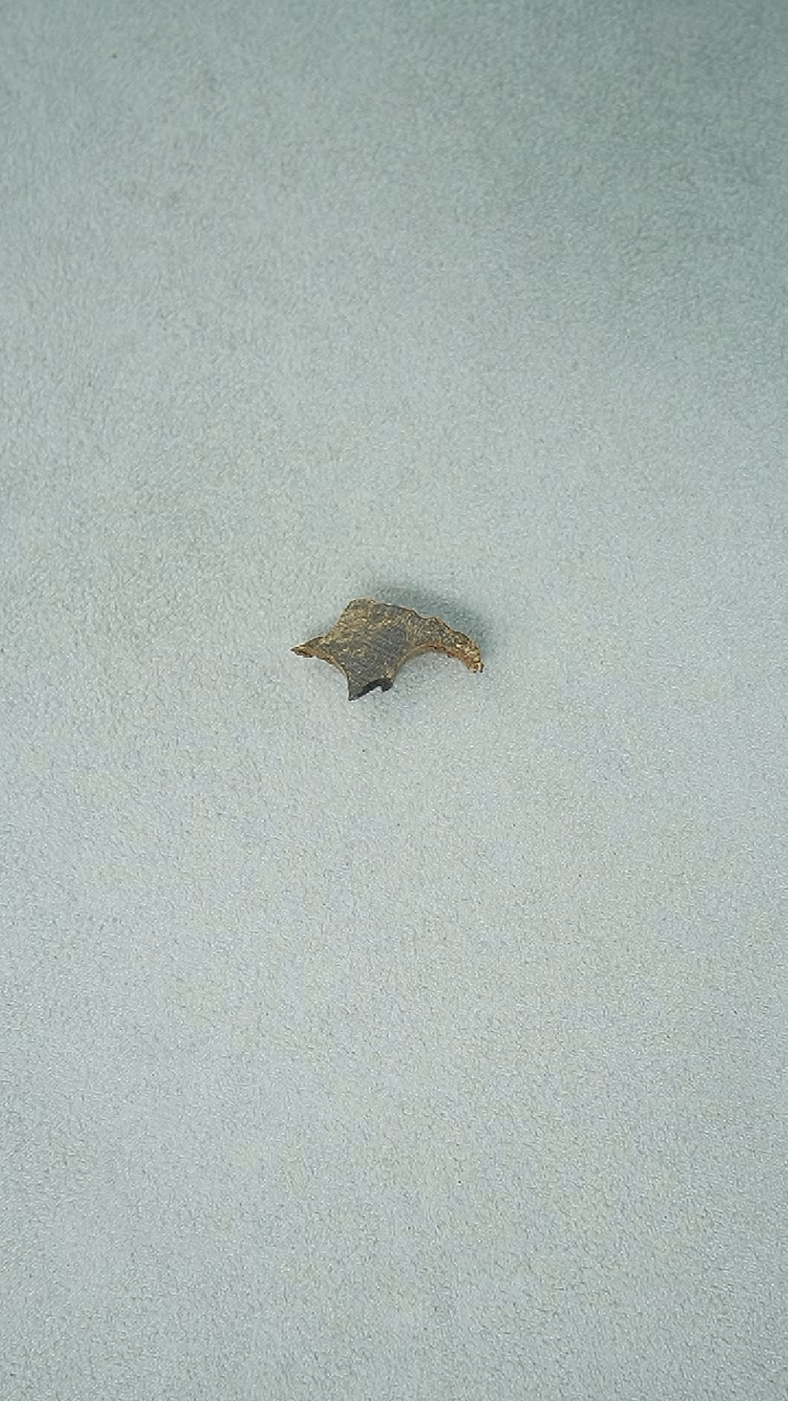 【闪购商品】沉香沉香碎屑1g正区达拉干老料