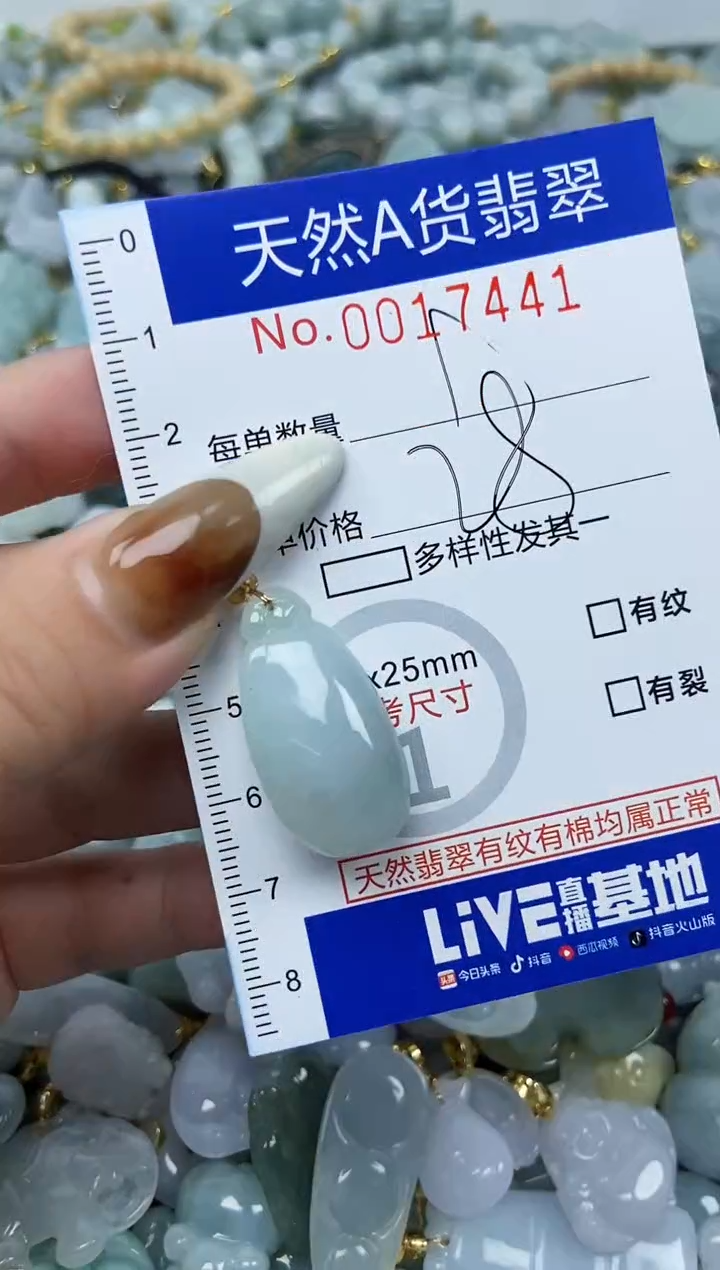 【闪购商品】翡翠颈饰未镶嵌天然A货翡翠