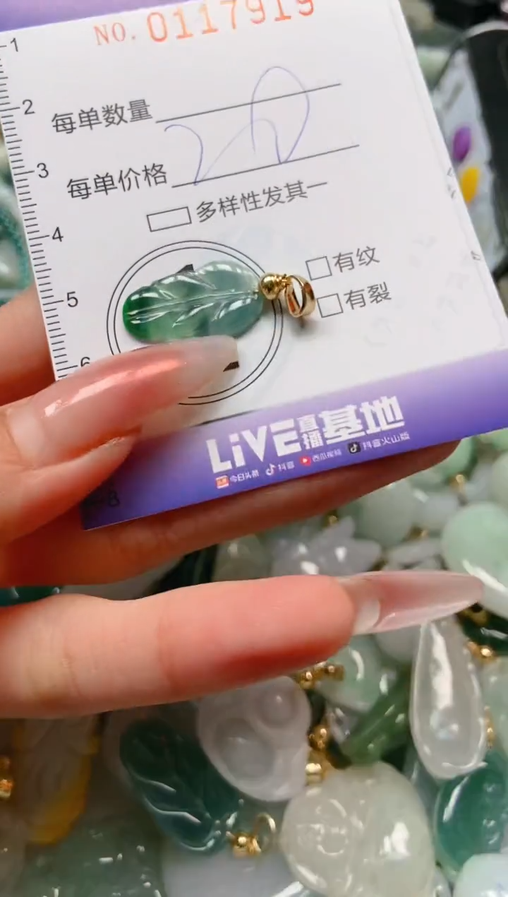 【闪购商品】翡翠颈饰未镶嵌闪购0117919